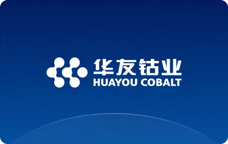 BG大游(集团)唯一官方网站